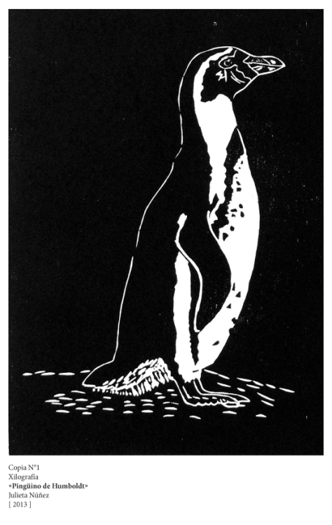 Copia N°1 | Xilografía | «Pingüino de Humboldt» | Julieta Núñez [ 2013 ]